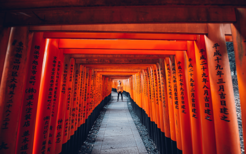 wycieczka do Japonii fushimi inari.png